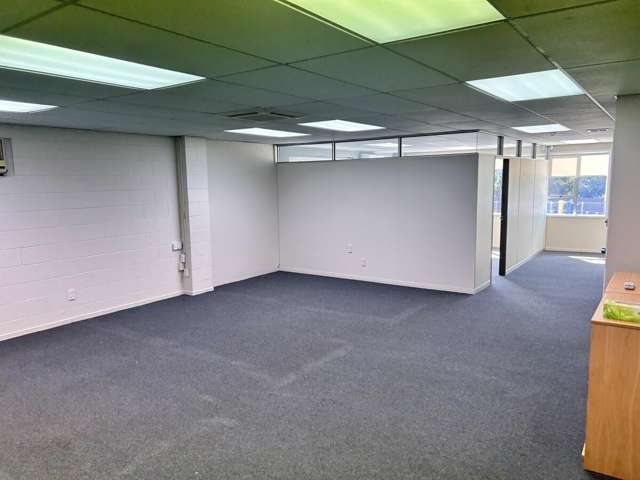 107A Ti Rakau Drive Pakuranga_3