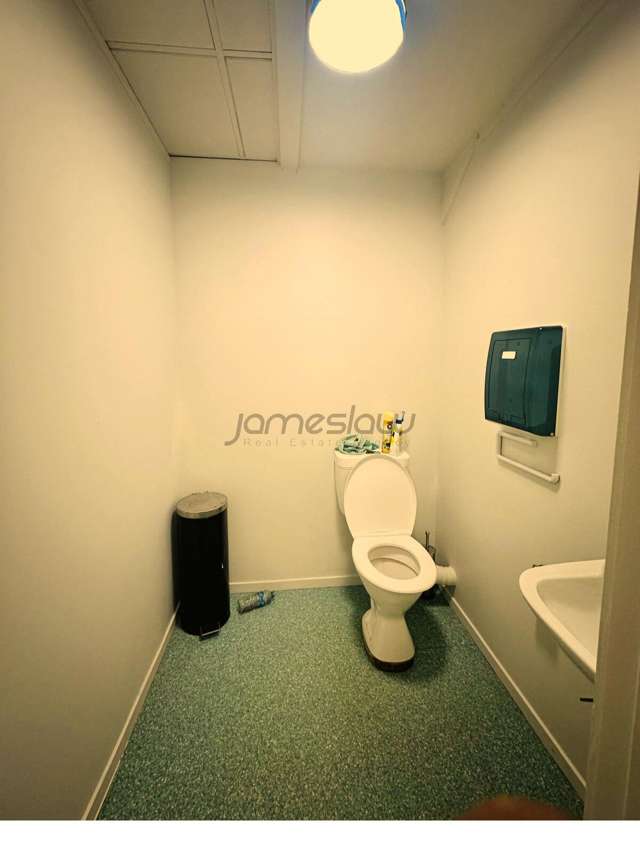 1248 Dominion Road Mount Roskill_2