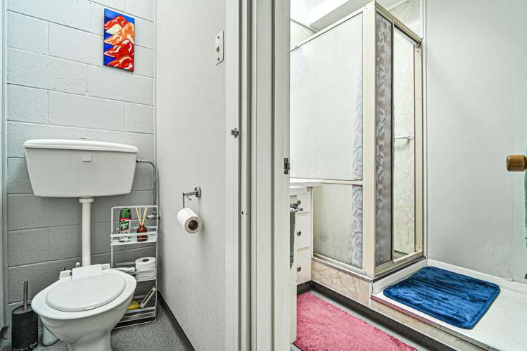807D Avenue Road East Parkvale_8