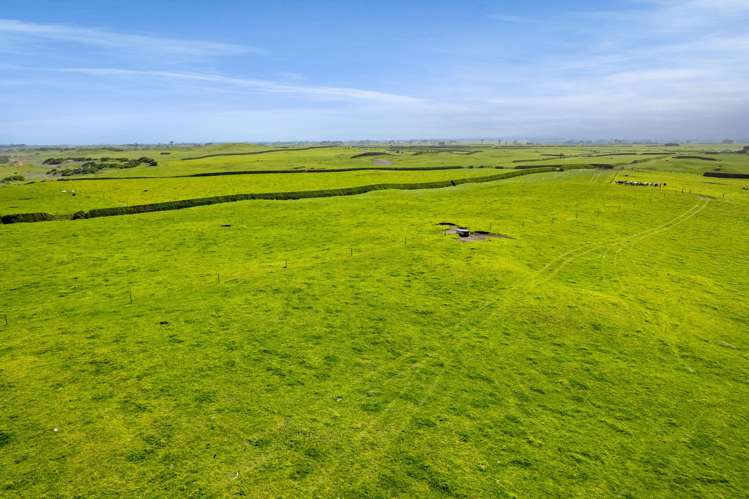 3789 South Road Opunake_5