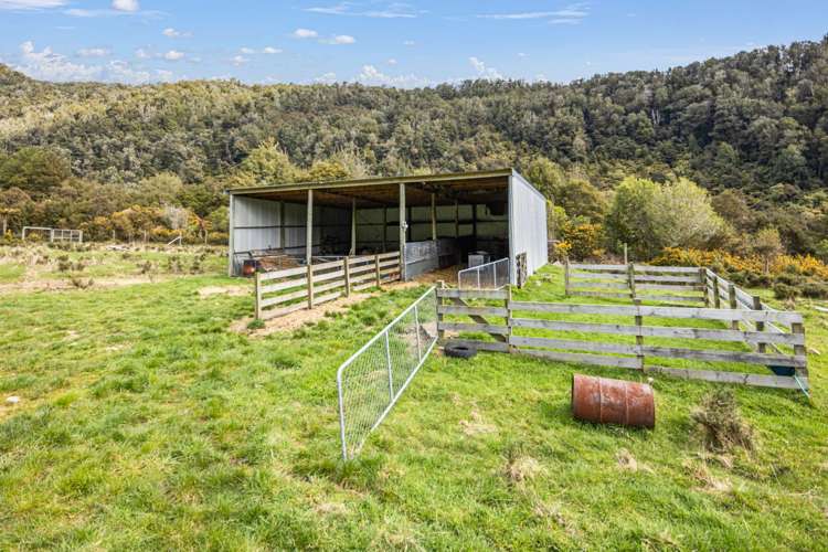 2436 Upper Buller Gorge Westport_17