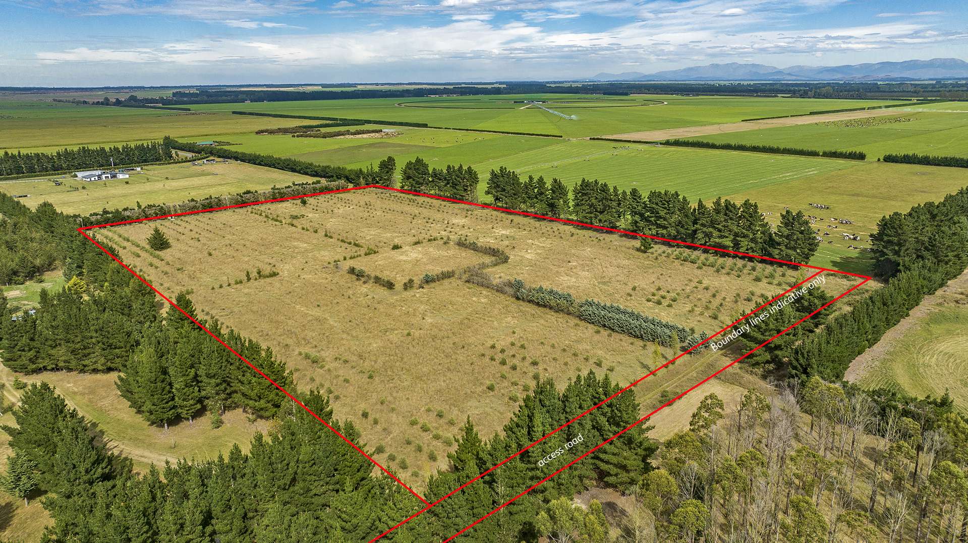 2181e South Eyre Road West Eyreton_0