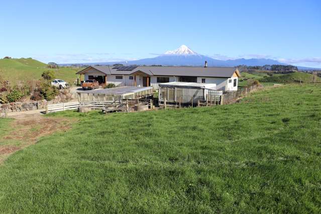 892 Tarata Road Kaimata_3