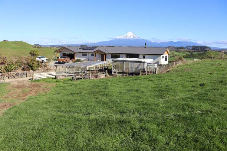 892 Tarata Road Kaimata_3