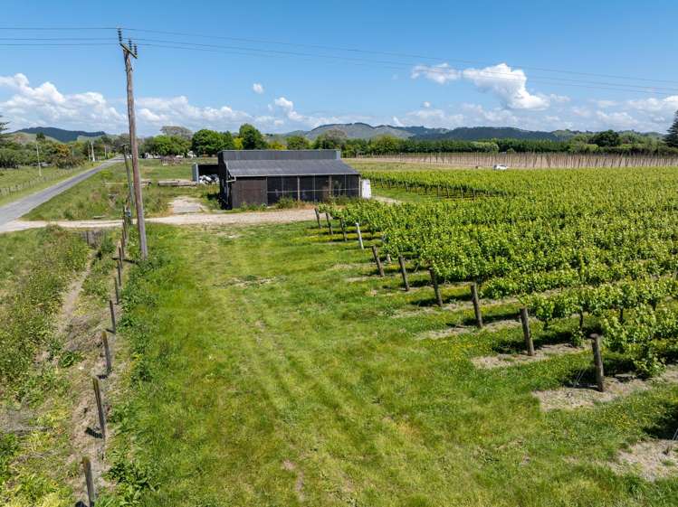 Whitmore Road Ormond_21