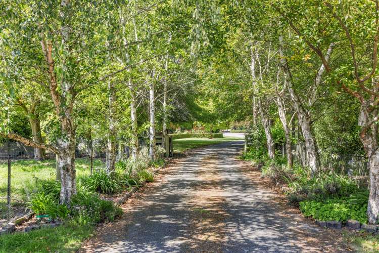 4 Wilson Drive Ohoka_45