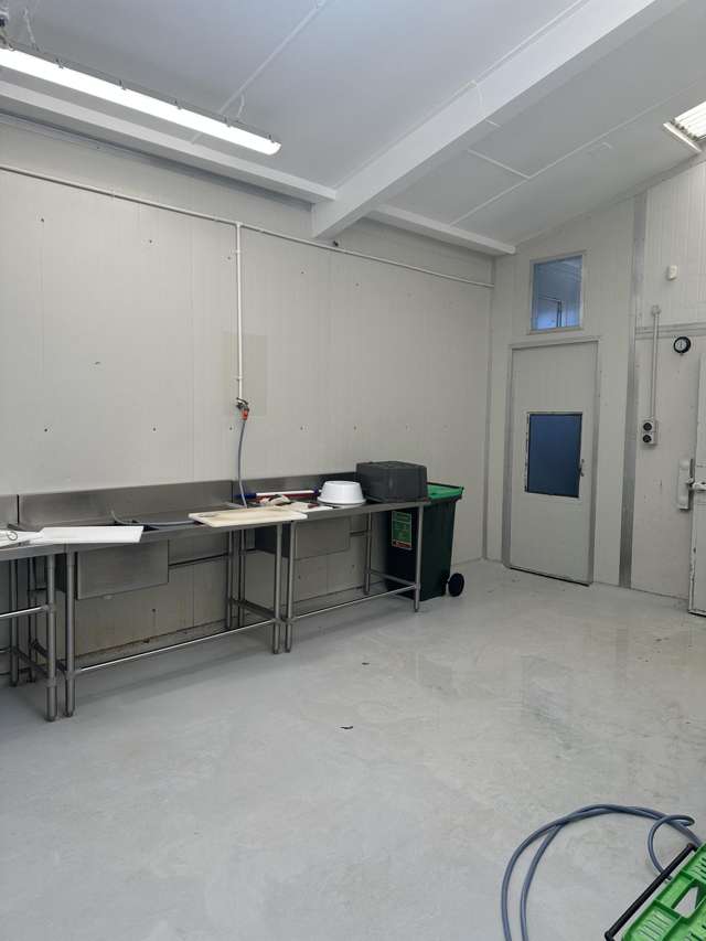 68 Kingsley Street Sydenham_2