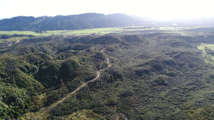 60 Snake Creek Road Kahurangi National Park_10