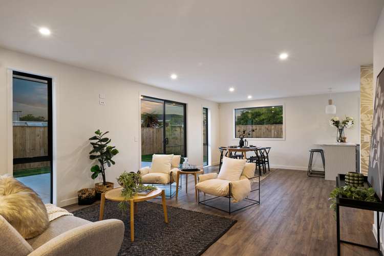17a Gardener Street Levin_24