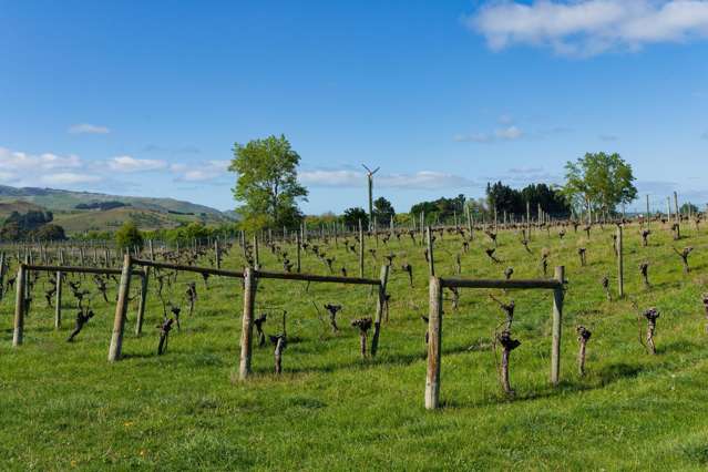 127B Church Road Hurunui_4