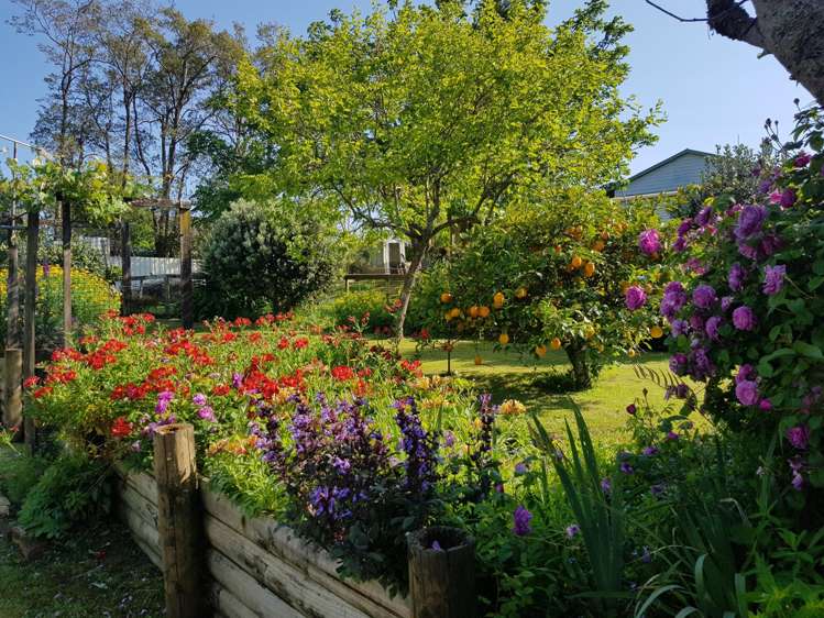 2b Wellington Street Waihi_24