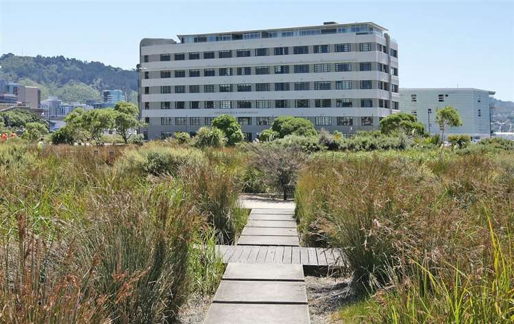 212/22 Herd Street Te Aro_16