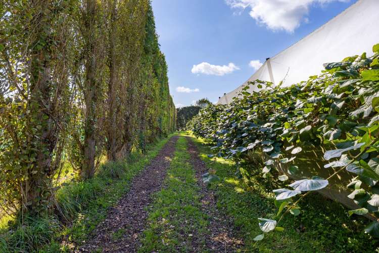 1151 Oreipunga Road Maungatautari_19