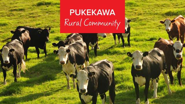 50 Geraghty Road Pukekawa_4