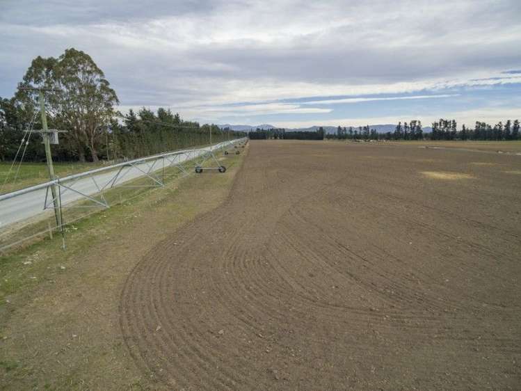 142 Anama Valetta Road Valetta_3