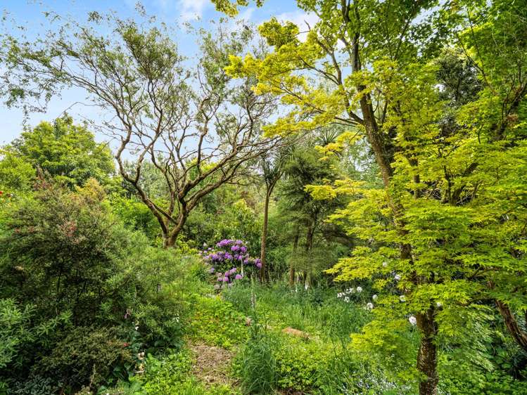 211 Signal Hill Road Opoho_18