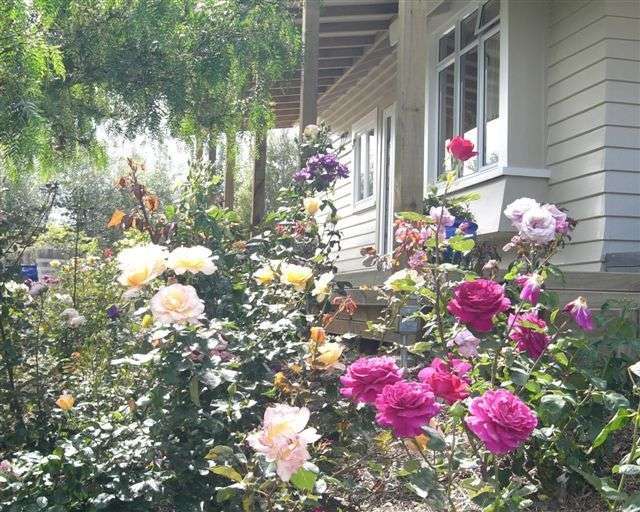 9 Wilson Street Renwick_1