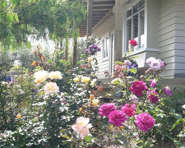 9 Wilson Street Renwick_1