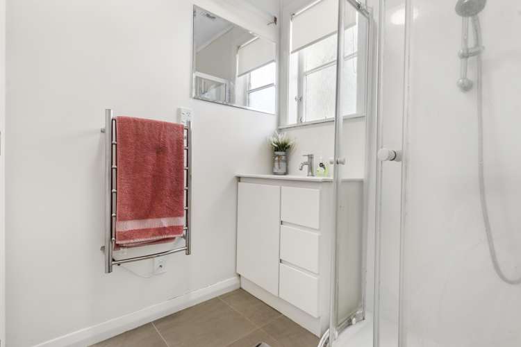 51 Renfrew Avenue Sandringham_14