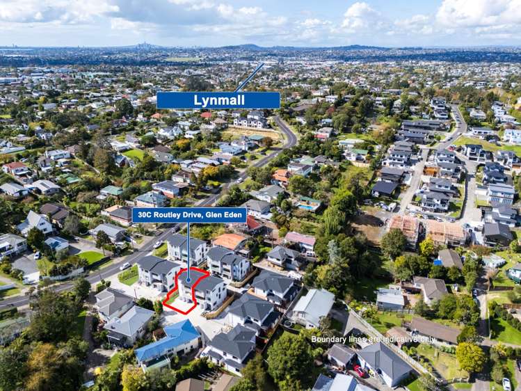 30C Routley Drive Glen Eden_21