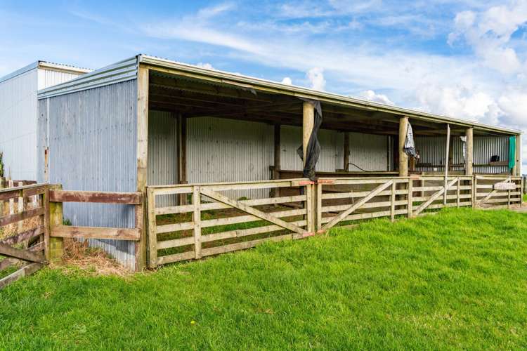 579 Ormiston Road Waipu_7