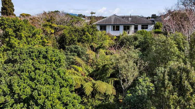 217 Carrington Street Vogeltown_17