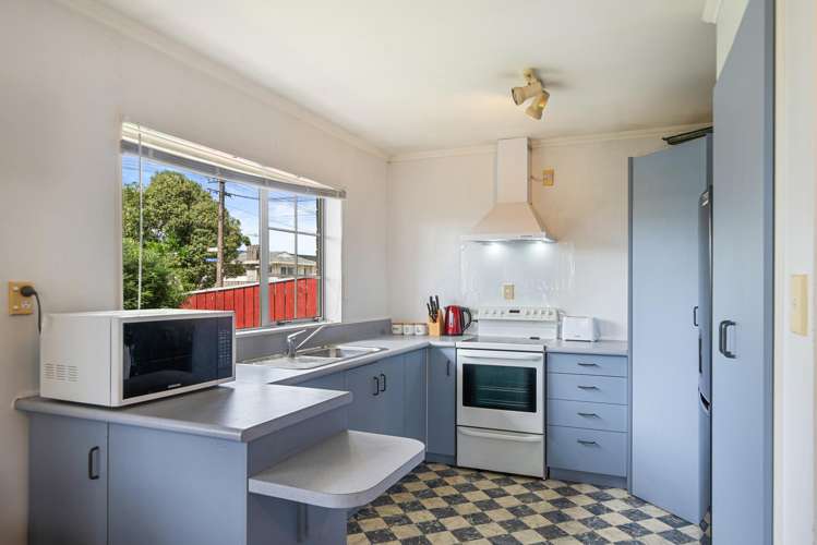 65 Winchester Street Levin_2