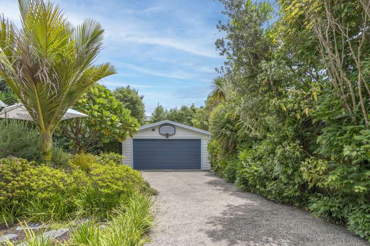 71 Francis Street Grey Lynn_13