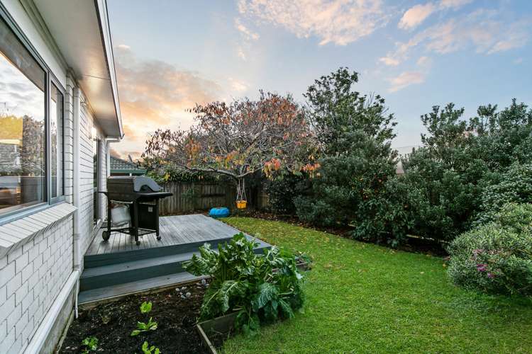 199h Captain Springs Road Onehunga_20