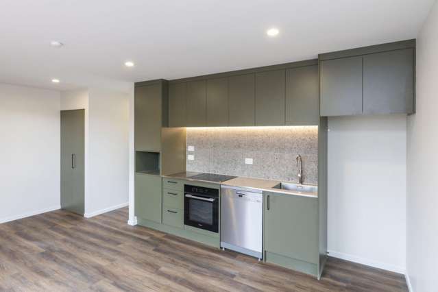 1/50 Peverel St Riccarton_1
