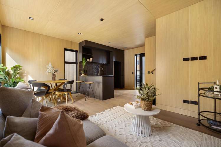 13 O'Meara Street Frankton_9