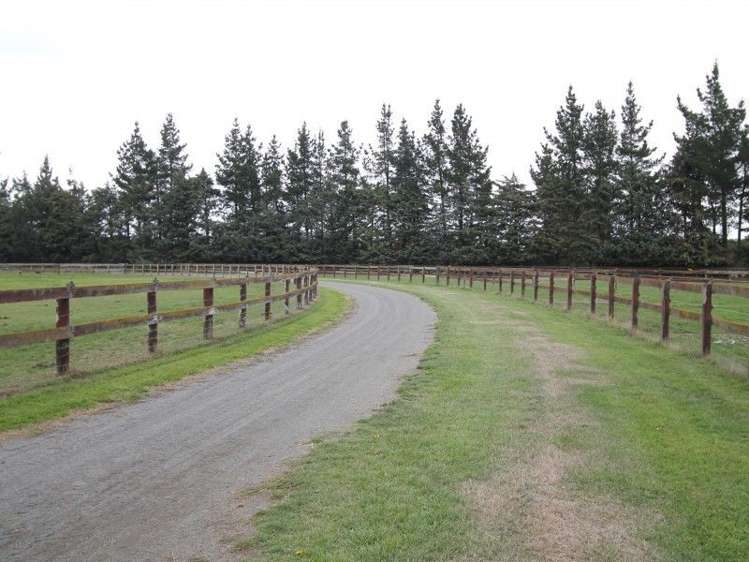 219 Hinds Highway Tinwald_5