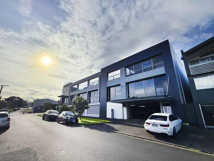 36 Williamson Avenue Grey Lynn_4