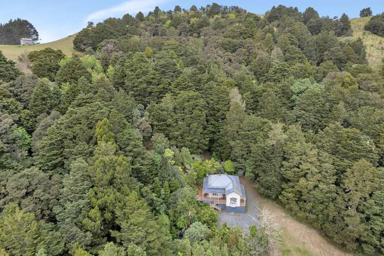 197 Whau Valley Road Whau Valley_38