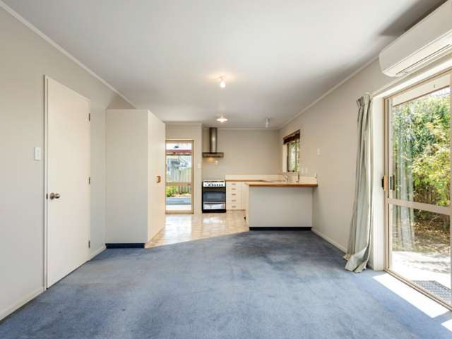 4c Mary Grace Place Blenheim Central_4