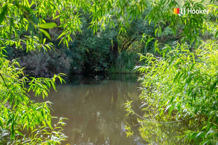 197 Mcintosh Road Brighton_23