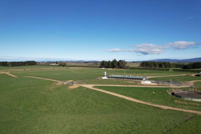 Dairy farm in the heart of Southland