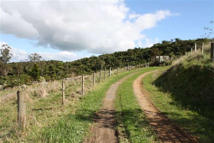 560 Neavesville Road Puriri_6