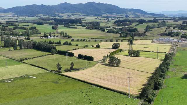 Exceptional support block