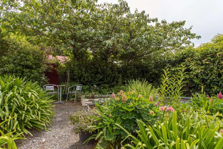 22a Darley Street Somerfield_21