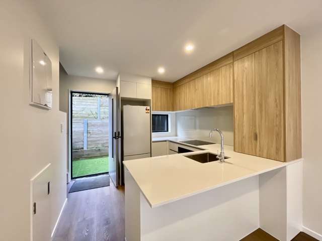 47 Selo Street Glen Eden_3