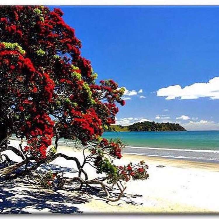 32d Waiheke Road Waiheke Island_12