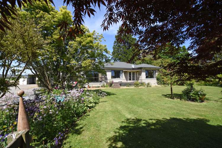 2105 Glencoe Highway Hedgehope_19