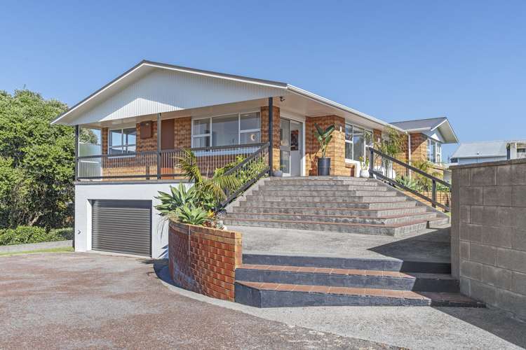 266B Courtenay Street_0