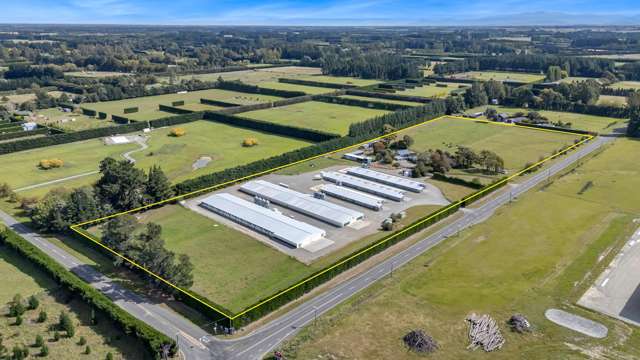 Immaculate Broiler Farm: Scale & Income