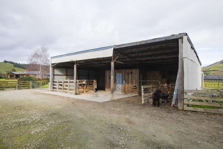 379 Papatu Road Manutuke_41
