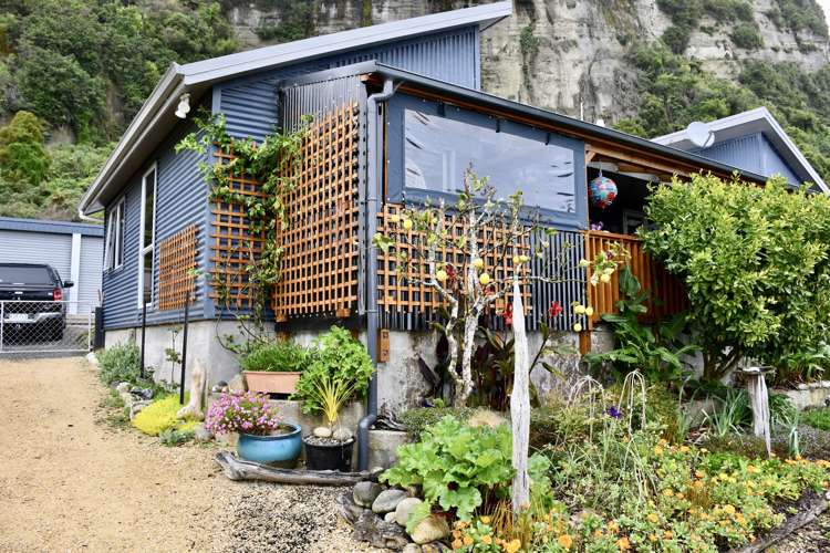 28 Nikau Heights Kahurangi National Park_1