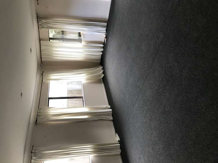 15 Janway Avenue Flat Bush_6