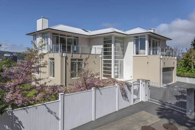 15 Salmont Place Kelburn_3