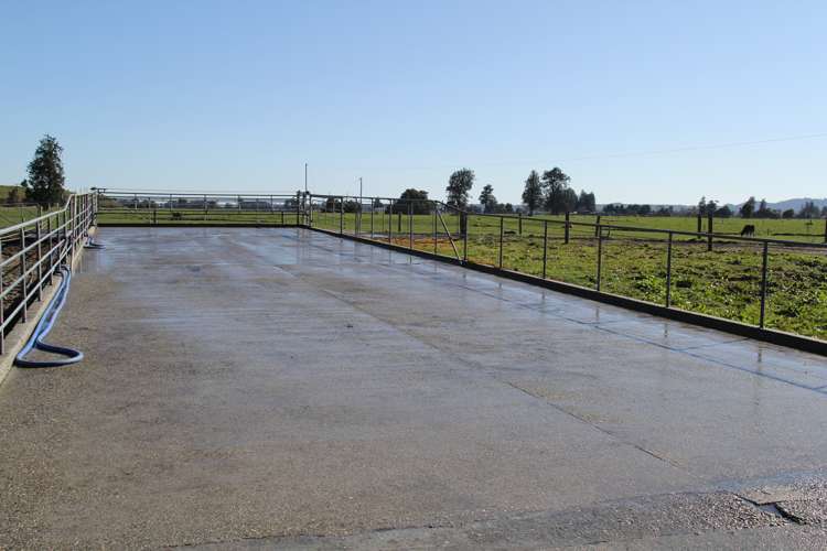 70 Johnston Road Kokatahi_10